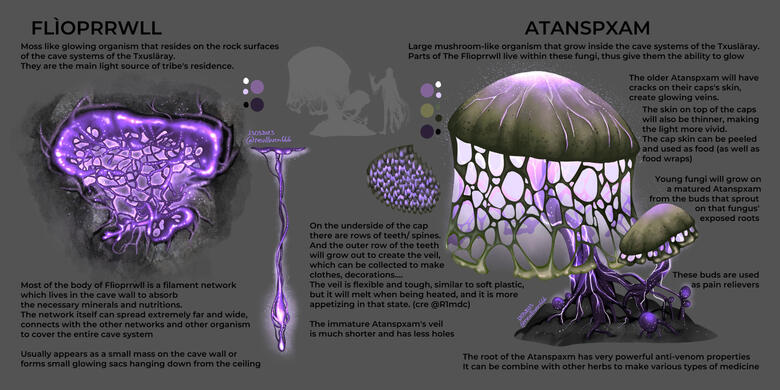 Flìoprrwll & Atanspxamd